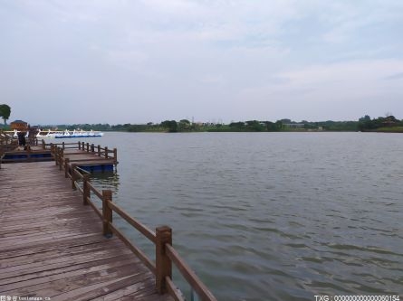 推动江苏沿海地区高质量发展盐城论坛召开 规划大咖提出新思路