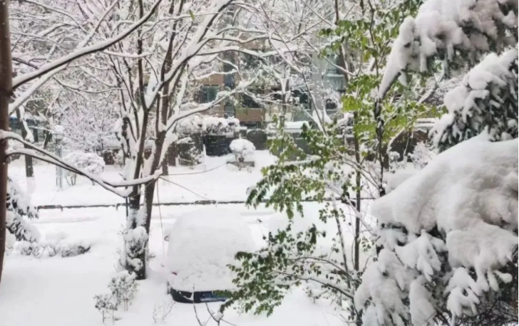 沈阳市出现历史罕见的特大暴雪天气过程 最大降雪量61.7毫米