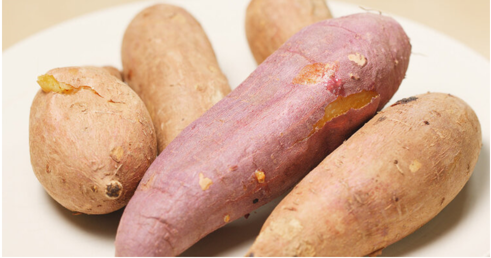 红薯还是“抗癌之王” 一个小小的红薯真的有这么多功效吗?