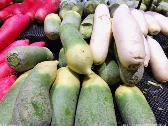 蔬菜涨价的背后究竟是什么原因? 江苏省农业农村厅现场回应