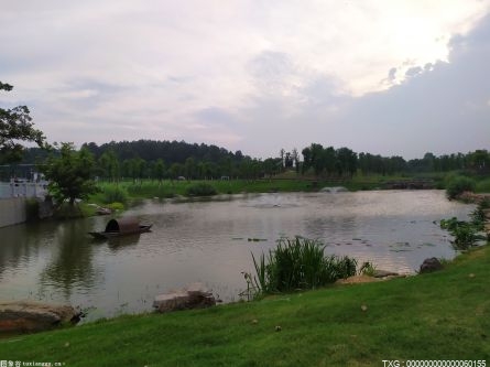 江苏省第六大湖泊——滆湖加大水生态修复 提升流域水生态管理水平