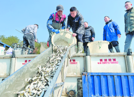 恢复渔业种群资源等 义乌市开展渔业资源增殖放流活动