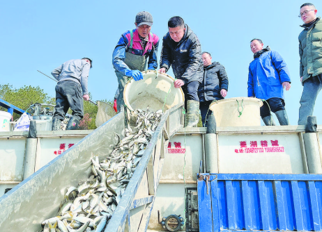 保护水域生态环境 义乌市开展渔业资源增殖放流活动