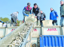 保护水域生态环境 义乌市开展渔业资源增殖放流活动