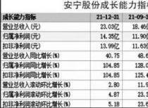 钛白粉涨价提振业绩 安宁股份（002978）盈利翻番