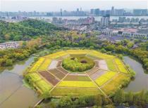 杭州八卦田遗址公园：金色的油菜花海如期而至