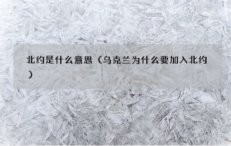 乌克兰加入北约是什么意思？以极低的成本享受美国军队的“保护”？