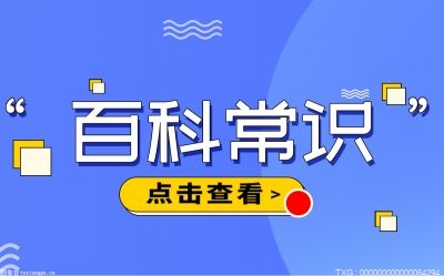 什么是维基百科？维基百科和百度百科有哪些区别？