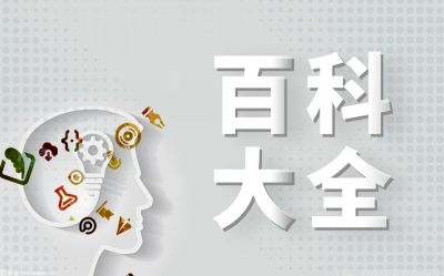 什么是Matter？为什么智能家居安全很重要?