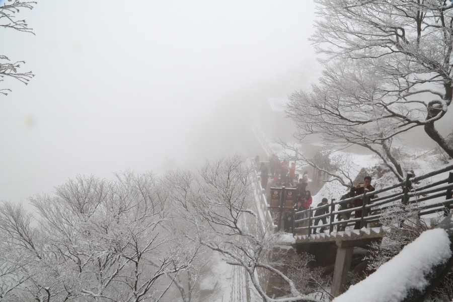 下雪时为什么要在路面上撒盐？下雪时最温暖的说说句子