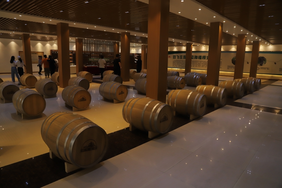 天天要聞：沱牌酒是哪里生產的？沱牌酒價格表2023查詢一覽